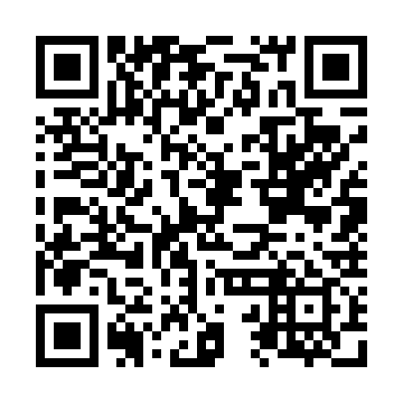 QR code for N2G 439