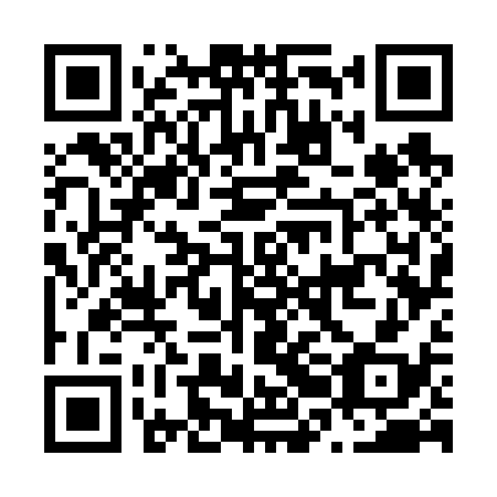 QR code for N2G 638