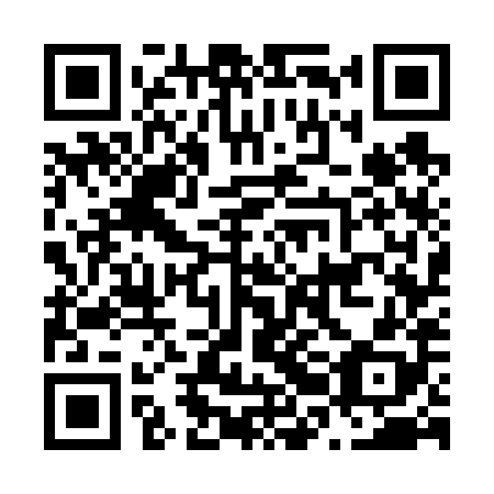 QR code for N2G 688