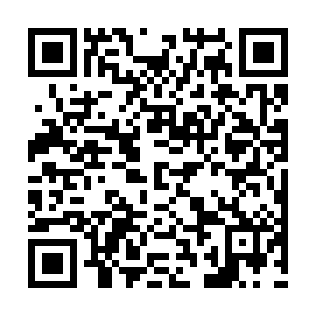 QR code for N2G382