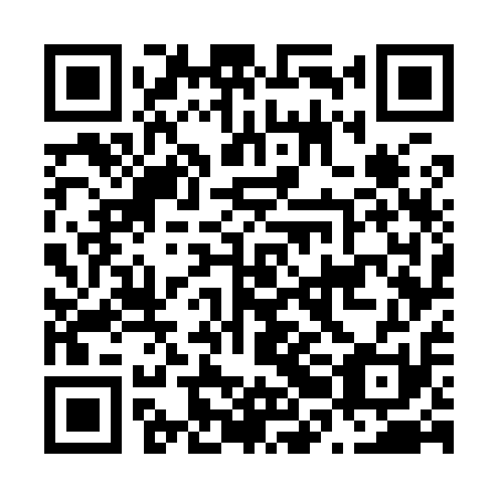 QR code for plate N2G 911