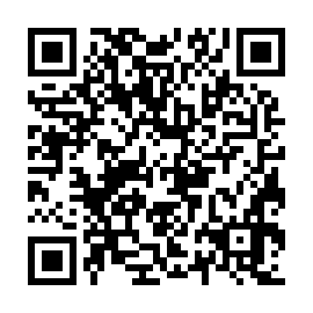 QR code for plate N2G 976