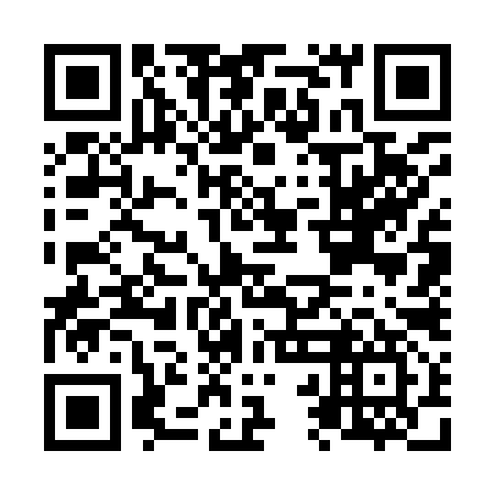 QR code for plate N2G 997