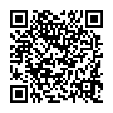 QR code for N2H 397