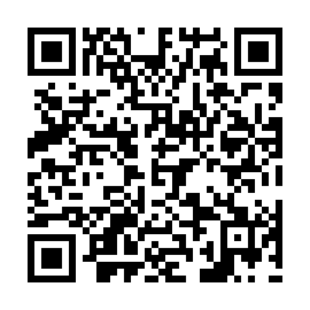QR code for N2H 481