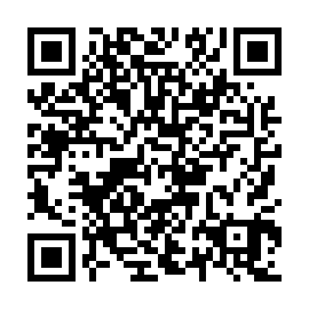 QR code for N2H 501