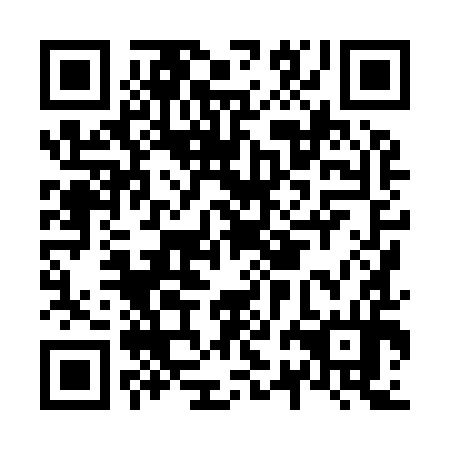 QR code for N2H 994