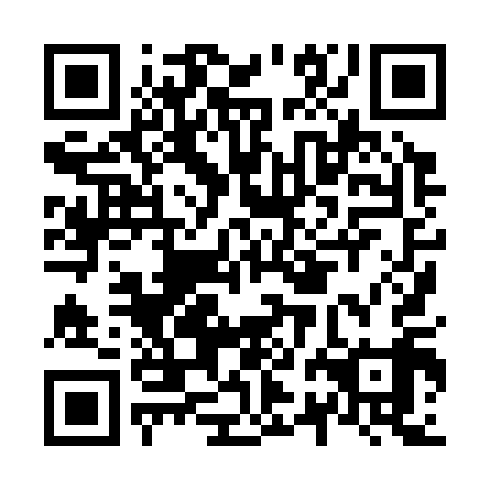 QR code for N2H319