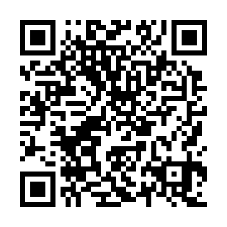 QR code for N2H331