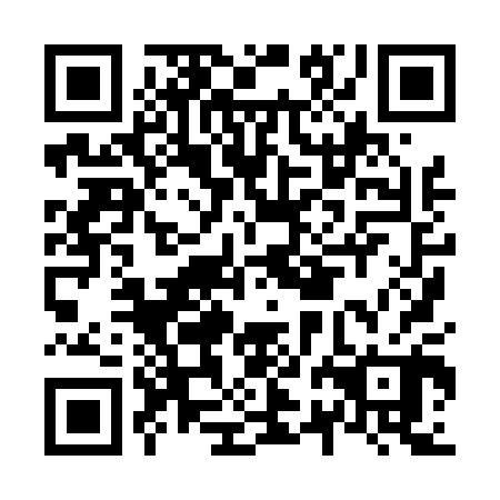 QR code for N2H400