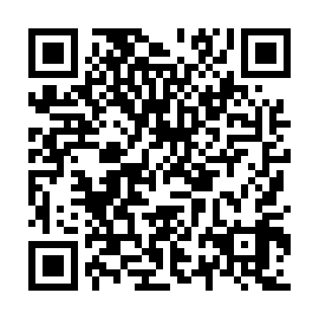 QR code for N2H519