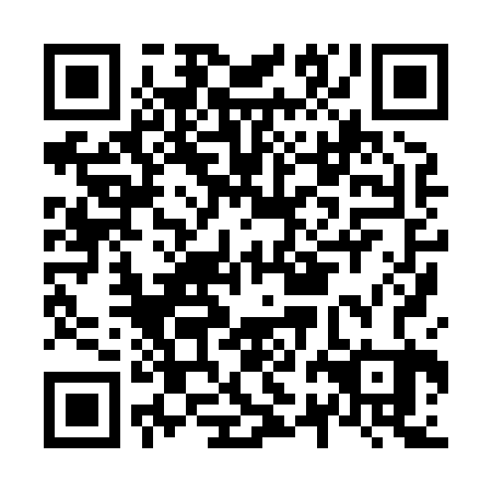QR code for N2H823