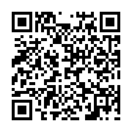 QR code for N2H903