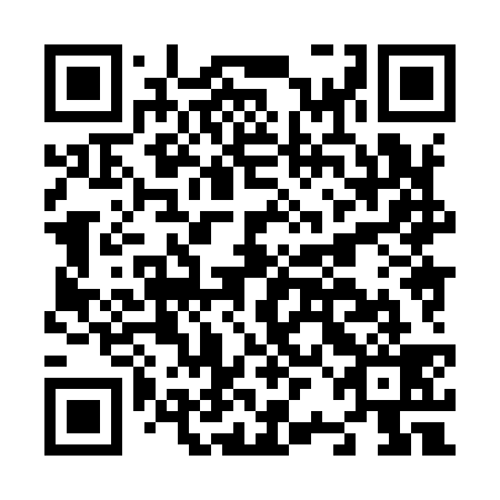 QR code for N2H939