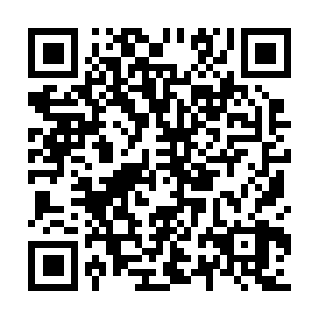 QR code for N2I 228