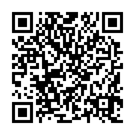 QR code for N2I 387