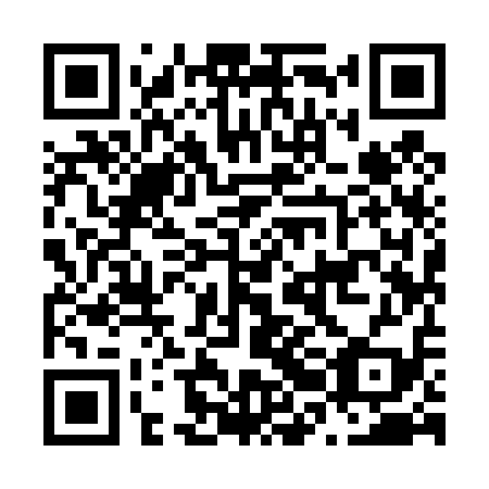 QR code for N2I 419