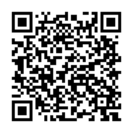 QR code for N2I 542