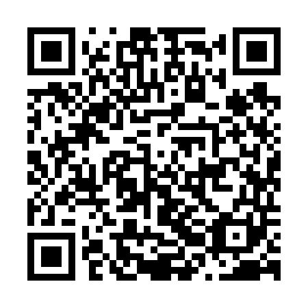 QR code for N2I 641