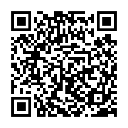 QR code for N2I 673