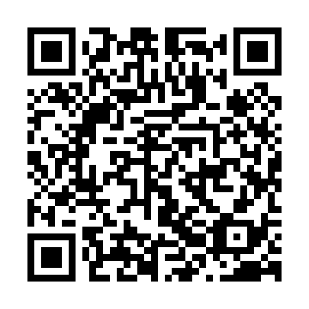 QR code for plate N2I 038