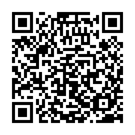 QR code for N2I085