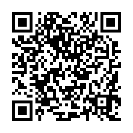 QR code for N2I290