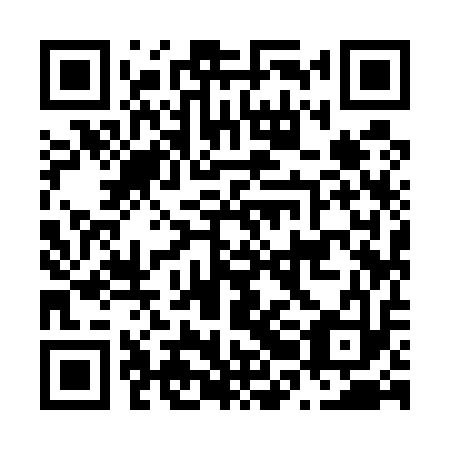 QR code for N2I513