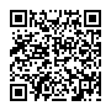QR code for N2I919
