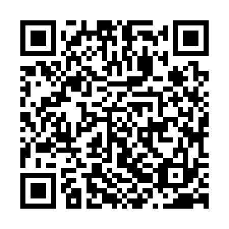 QR code for N2J 333