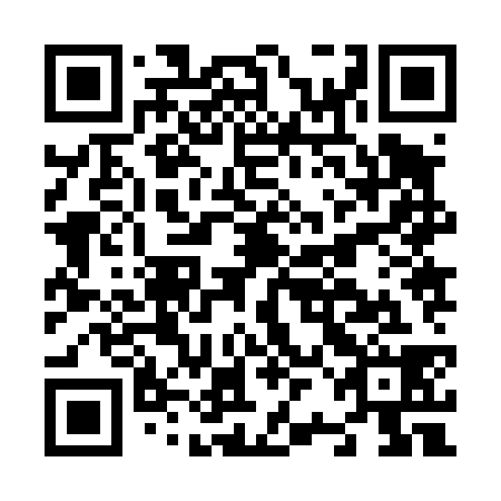 QR code for N2J 438