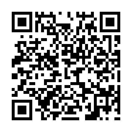 QR code for plate N2J 119