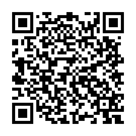 QR code for N2J521