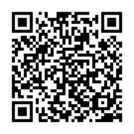QR code for plate N2K 011