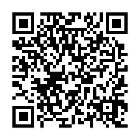 QR code for N2K317