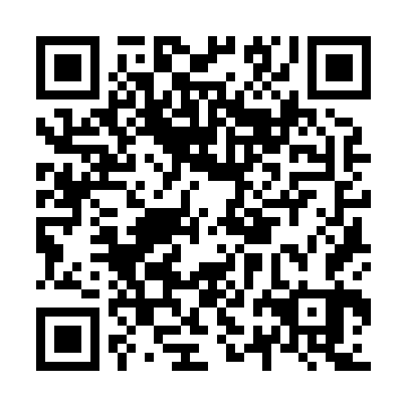 QR code for plate N2K 863