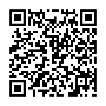 QR code for N2L 299