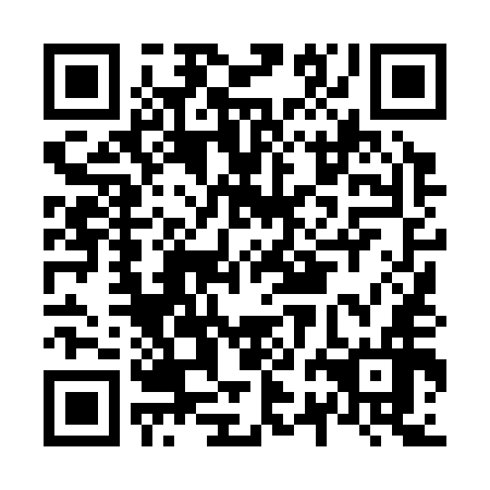 QR code for N2L 356