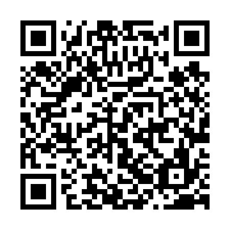 QR code for N2L 636