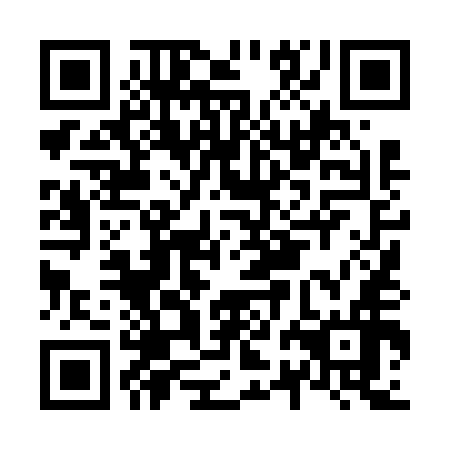 QR code for N2L 656