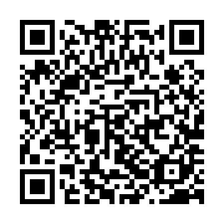 QR code for plate N2L 181