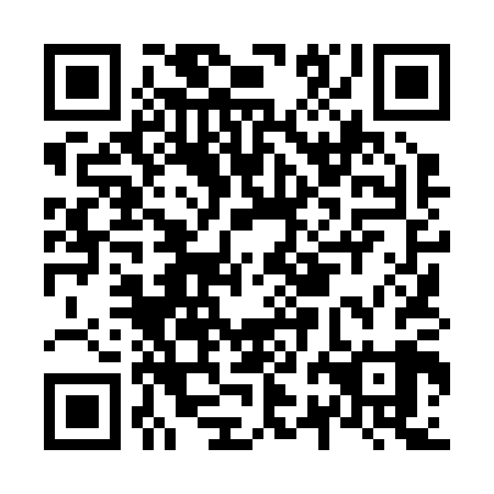 QR code for plate N2L 209