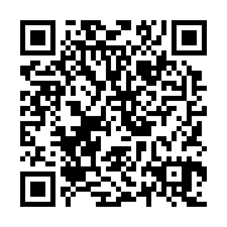 QR code for plate N2L 325