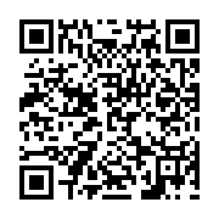 QR code for plate N2L 337