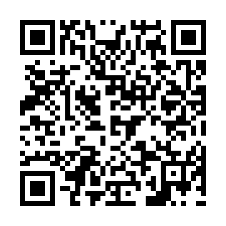 QR code for N2L355