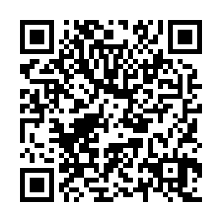 QR code for plate N2L 824