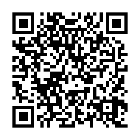 QR code for plate N2L 868