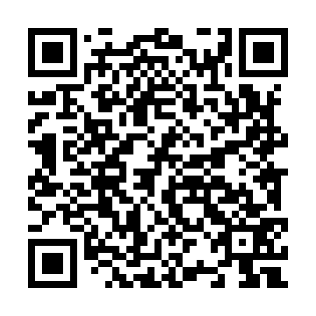 QR code for plate N2L 973
