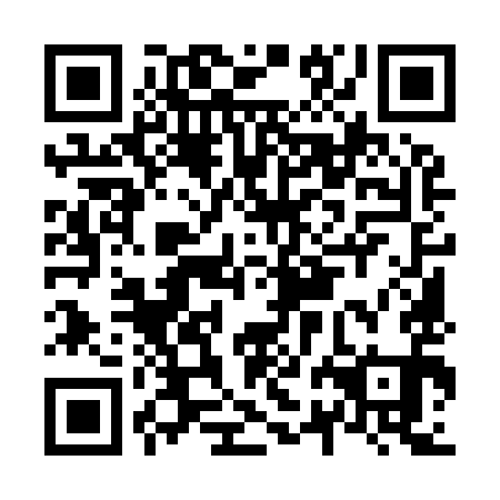 QR code for N2M 991