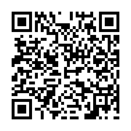 QR code for N2M317